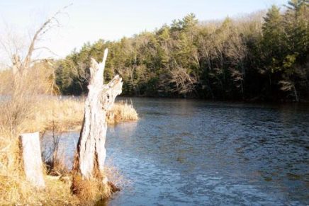 Nature at your doorstep: Onteora Lake