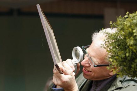 Antiques Roadshow-style appraisal event to benefit newly formed New Paltz Historical Society