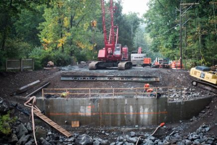No rattlers on site at Woodstock bridge replacement