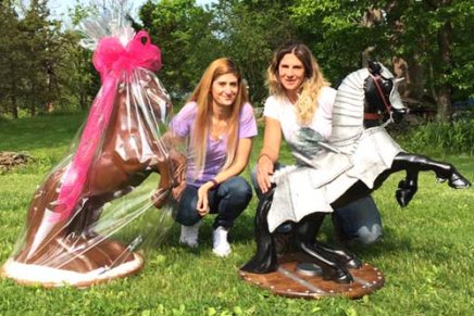 Saugerties artist says she’ll rehabilitate beheaded steed if she can