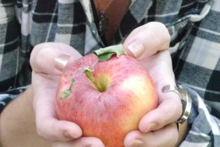 Applestock this Saturday on Huguenot St.