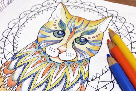 Kingston Creative’s new coloring book to help homeless animals