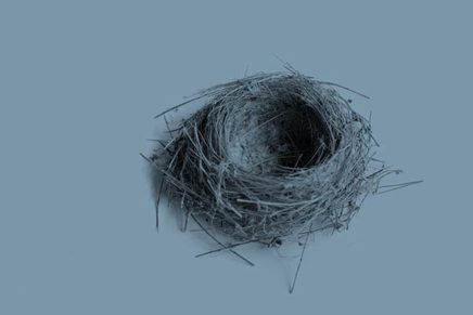 The musings of an empty nester