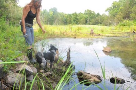 Should New Paltz’s new preserve be left open for future water drilling?