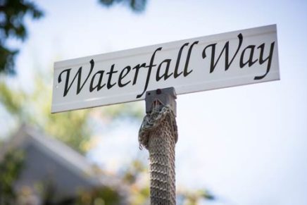 Woodstock planners hear about a town in transition