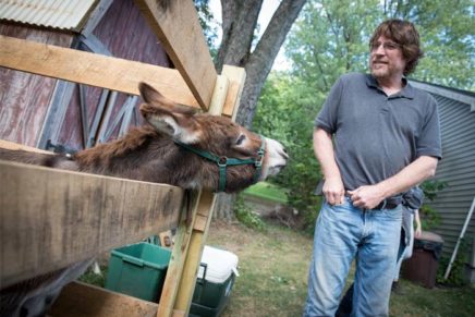 How a former IBM software engineer harnessed the therapeutic power of donkeys