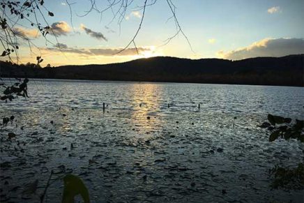 New 287-acre park opens in Esopus