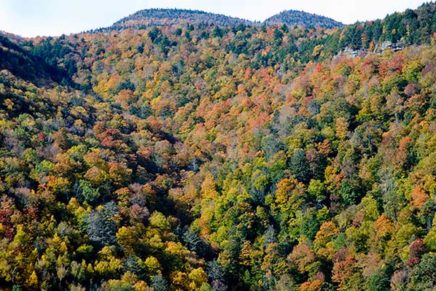 The state of the Catskills