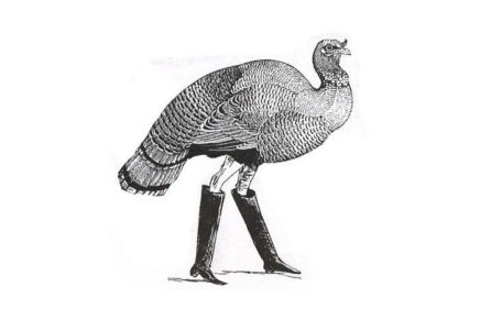 The Turkey Trot turns 100, as New Paltz, Kingston and Phoenicia residents prepare to run