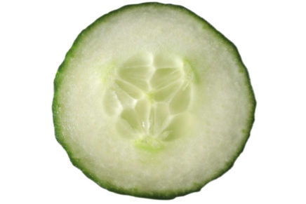 International Pickle Festival in Rosendale this Sunday