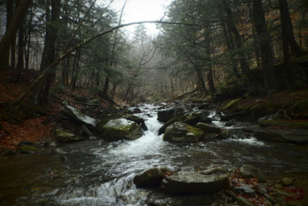 Yogi and the fat lady: Trout season’s last day