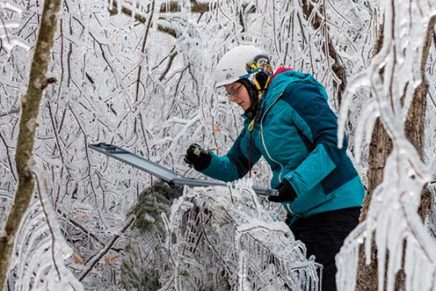 Ice storm lecture this Friday at Millbrook’s Cary Institute