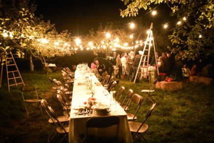 Westwind Orchard in Accord stayed busy – even in a year without an apple crop