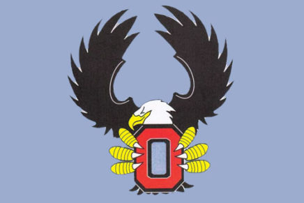 Onteora’s new eagle mascot almost done