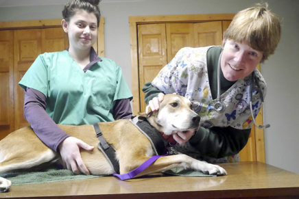 All Animal Veterinary Services has a new home on Route 32 in Modena