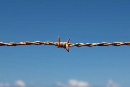 Letter: Support and advocate for continued refugee resettlement