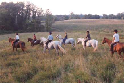 Deborah Dows’ Southlands in Rhinebeck open for winter rambles
