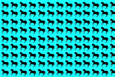 When it comes to spotting the economy’s unicorns, Start-Up New York has been a disappointment