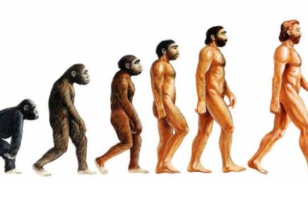 Hudson Valley Humanists talk evolution