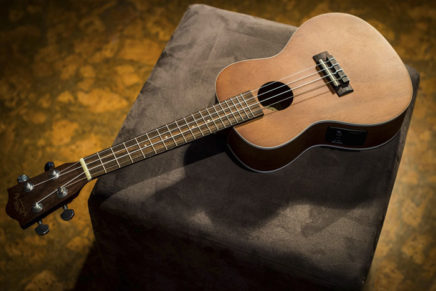 Phoenicia Library hosts ukulele lesson & jam