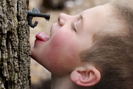 Kids’ Almanac: Maple festivals, model trains and magic shows