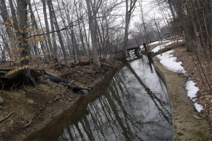 Citizen group sues Gardiner over approval of cabin resort project