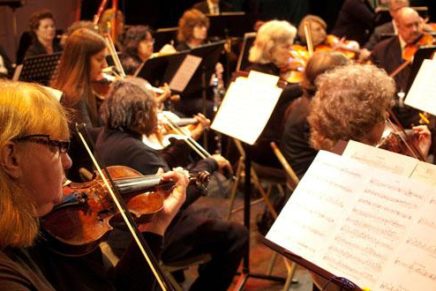 Woodstock Chamber Orchestra satisfies