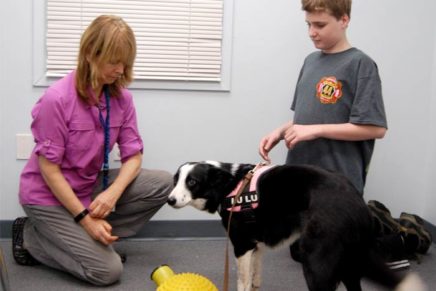 Center for Spectrum Services’ therapy dogs help students connect