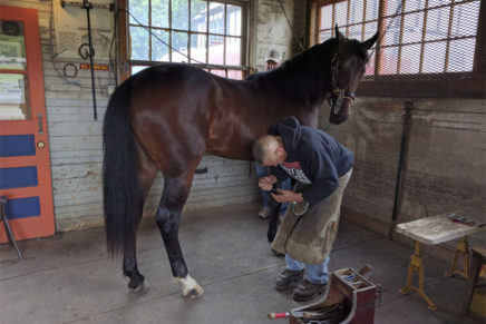 Check out Goshen’s Historic Track, Harness Racing Museum and Hall of Fame