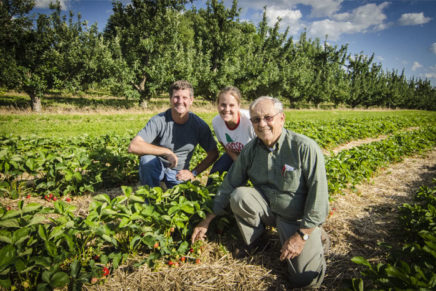 Berried treasures: Pick-your-own strawberry season is upon us