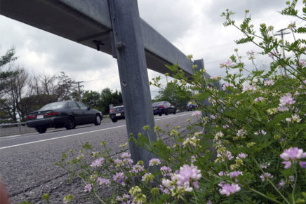 New Paltz residents weigh in on Thruway area development