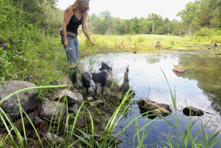 Final easement for New Paltz preserve does not reserve the right for water exploration