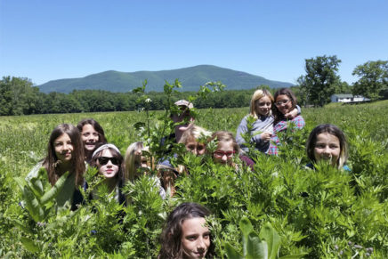 BioBlitz: Identifying plants and wildlife at Thorn Preserve
