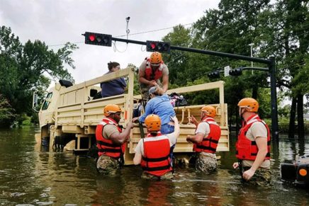 Dear Harvey: Love, Irene