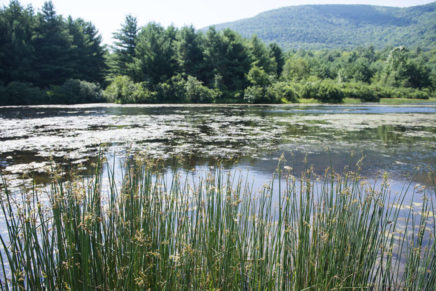 Still no swimming at Wilson State Park in Woodstock