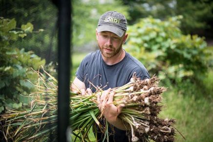 Celebrate the stinking rose at the Hudson Valley Garlic Festival
