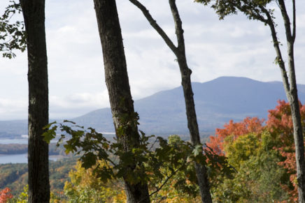 Catskills Lark in the Park