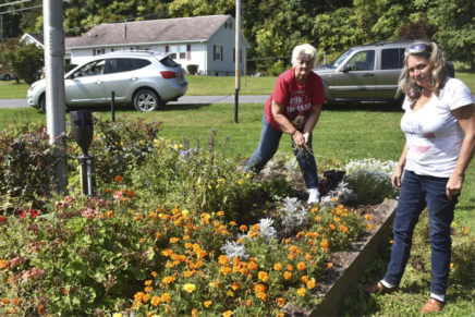 Saugerties gears up for Mum Fest