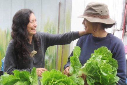 Warren sisters and a brother make Kimchee on Roxbury farm