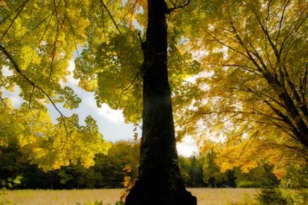 Painless peeping: View autumn’s glory from the Ashokan Reservoir Trail