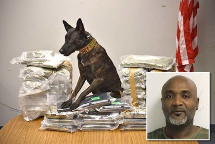Police seize more than $2m worth of marijuana and cocaine in big Poughkeepsie drug bust