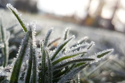 Letter: Waiting for the first frost