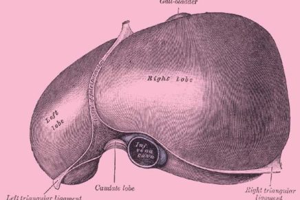 Erica’s Cancer Journey: Liver Mets