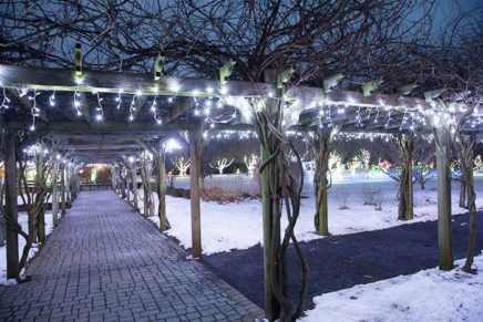 Montgomery’s Thomas Bull Memorial Park is a winter wonderland
