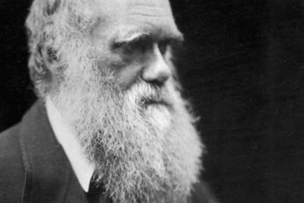 Hudson Valley Humanists celebrate “Darwin Day”