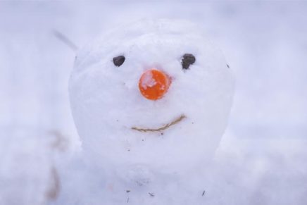 Kids’ Almanac: Jan. 11-18