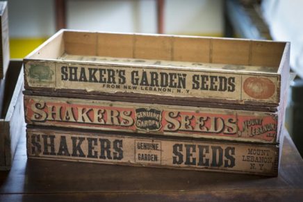 Community festivities at the Shaker Museum in New Lebanon