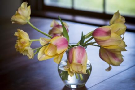 What are you saying with flowers?