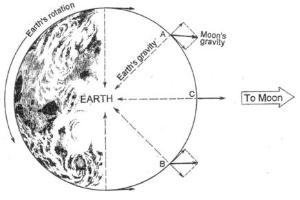 Pulled by the Moon: What’s really happening