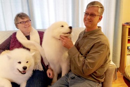 Local dogs compete at Westminster